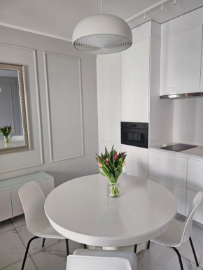 Poznań Center Apartment Zwierzyniecka Centrum, Targi, MTP 24h self check-in, parking